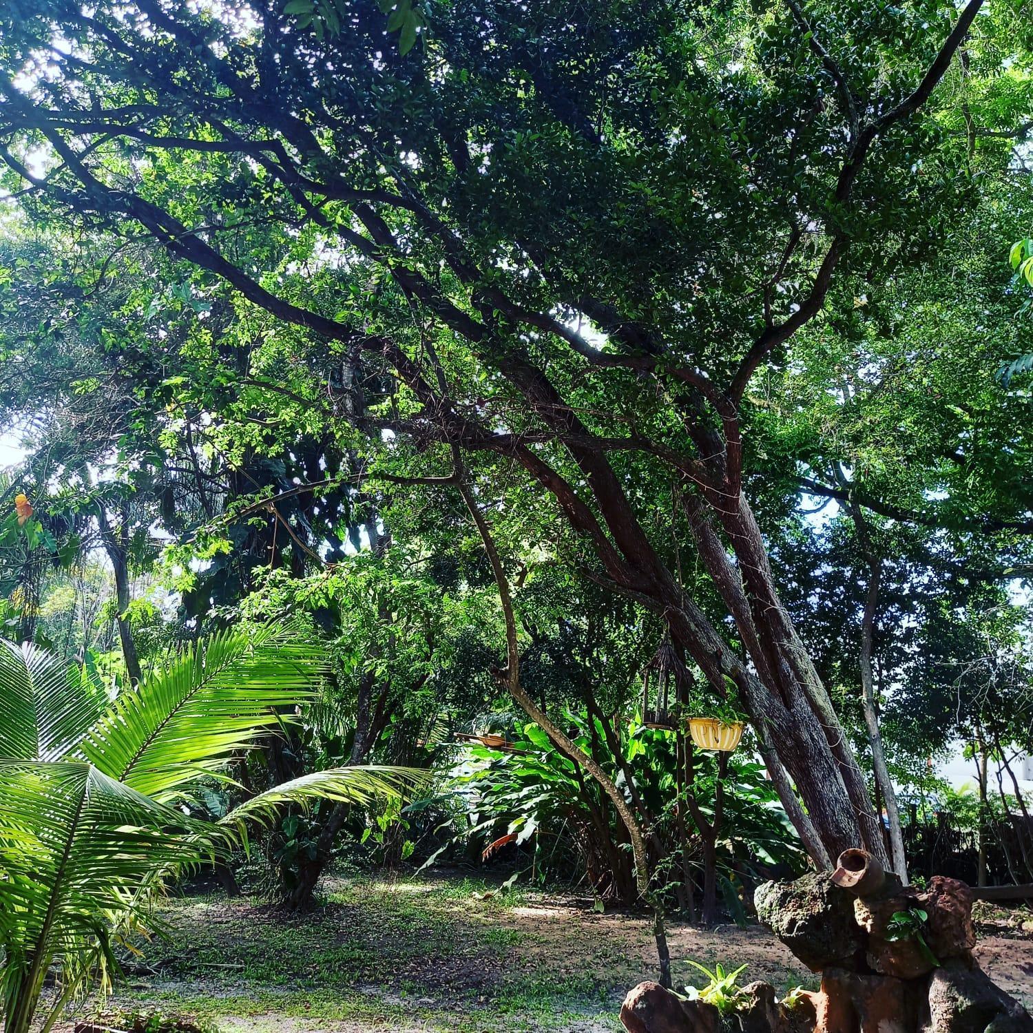 Pousada Aldeia Banzae Imbassai Esterno foto